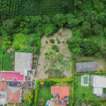 LOTE PARA VENTA EN ARMENIA - 4