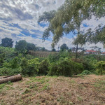 LOTE PARA VENTA EN ARMENIA - 18