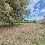 LOTE PARA VENTA EN ARMENIA - 19