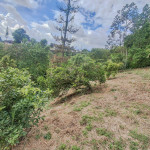 LOTE PARA VENTA EN ARMENIA - 20