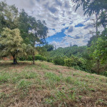 LOTE PARA VENTA EN ARMENIA - 21