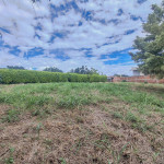 LOTE PARA VENTA EN ARMENIA - 22
