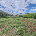 LOTE PARA VENTA EN ARMENIA - 23