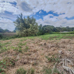 LOTE PARA VENTA EN ARMENIA - 24
