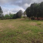 LOTE CAMPESTRE PARA VENTA EN ARMENIA - 7