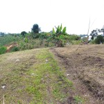 Finca en FILANDIA, VEREDA EL CONGAL (Ref: 12320) - 10