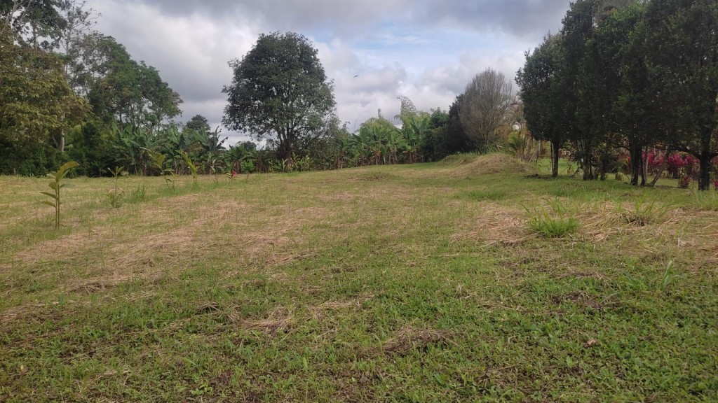 LOTE CAMPESTRE PARA VENTA EN ARMENIA