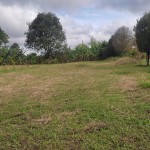 LOTE CAMPESTRE PARA VENTA EN ARMENIA - 1