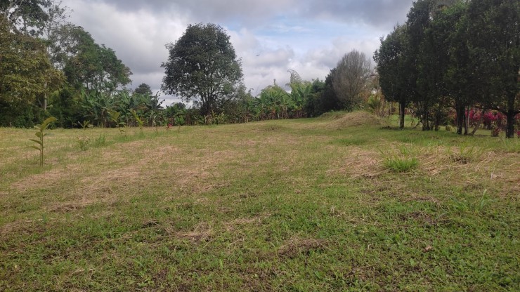 LOTE CAMPESTRE PARA VENTA EN ARMENIA
