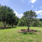 Finca en QUIMBAYA, VEREDA MORELIA BAJA (Ref: 12428) - 7