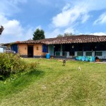Finca en FILANDIA, VEREDA EL CONGAL (Ref: 12320) - 1