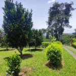 Finca en QUIMBAYA, VEREDA MORELIA BAJA (Ref: 12428) - 4