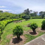 Finca en QUIMBAYA, VEREDA MORELIA BAJA (Ref: 12428) - 19
