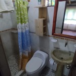 LOTE CAMPESTRE PARA VENTA EN ARMENIA - 28