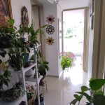 Apartamento en ARMENIA, LOS PROFESIONALES (Ref: 12426) - 11