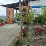 Finca en SANTA ROSA DE CABAL, VEREDAEL CEDRAL (Ref: 12334) - 5