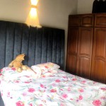 CASA CAMPESTRE PARA VENTA EN CIRCASIA - 12