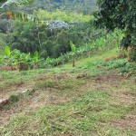 Finca en FILANDIA, VEREDA EL CONGAL (Ref: 12320) - 7