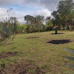 Lote en ARMENIA, VIA PUEBLO TAPAO (Ref: 12430) - 6
