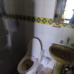 LOTE CAMPESTRE PARA VENTA EN ARMENIA - 15