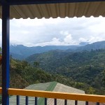 FINCA PARA VENTA EN GENOVA - 8