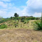 Finca en FILANDIA, VEREDA EL CONGAL (Ref: 12320) - 6