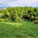 Lote en ARMENIA, PUERTO ESPEJO (Ref: 12140) - 5