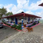 Finca en SANTA ROSA DE CABAL, VEREDAEL CEDRAL (Ref: 12334) - 3