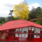 Lote en ARMENIA, SECTOR ORO NEGRO (Ref: 12017) - 7