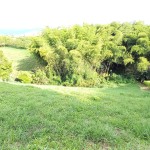 Lote en ARMENIA, PUERTO ESPEJO (Ref: 12140) - 4
