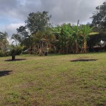 Lote en ARMENIA, VIA PUEBLO TAPAO (Ref: 12430) - 2
