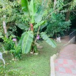 Casa campestre en Circasia, Sector Rural (Ref: 11586) - 18