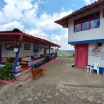 Finca en SANTA ROSA DE CABAL, VEREDAEL CEDRAL (Ref: 12334) - 2