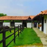 CASA CAMPESTRE PARA VENTA EN ARMENIA - 8