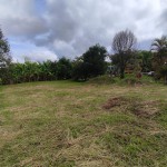 LOTE CAMPESTRE PARA VENTA EN ARMENIA - 2