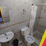 LOTE CAMPESTRE PARA VENTA EN ARMENIA - 3