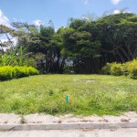 Lote en CALARCA, VEREDA BARRAGAN (Ref: 12388) - 4