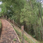 LOTE CAMPESTRE PARA VENTA EN ARMENIA - 19