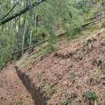 LOTE CAMPESTRE PARA VENTA EN ARMENIA - 5