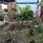 Finca en SANTA ROSA DE CABAL, VEREDAEL CEDRAL (Ref: 12334) - 10