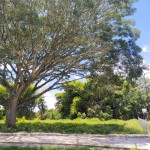 Lote en CALARCA, VEREDA BARRAGAN (Ref: 12388) - 3