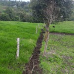 Finca en CIRCASIA, AUTOPISTA DEL CAFE (Ref: 12307) - 4