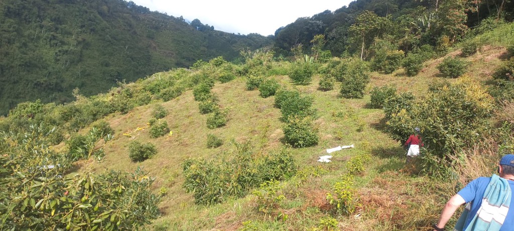 FINCA PARA VENTA EN GENOVA