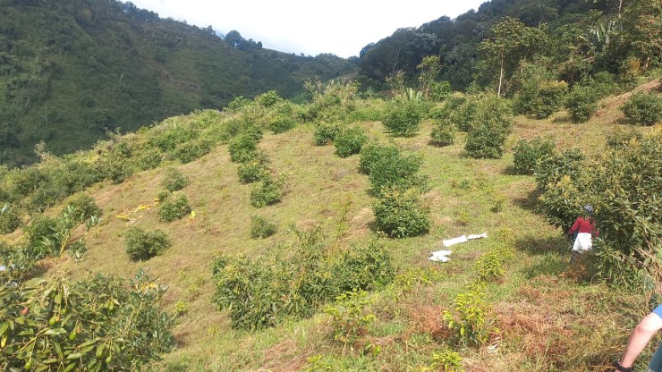 FINCA PARA VENTA EN GENOVA