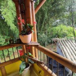 LOTE CAMPESTRE PARA VENTA EN ARMENIA - 29