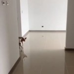 Apartamento en ARMENIA, SECTOR ORO NEGRO (Ref: 12654) - 7