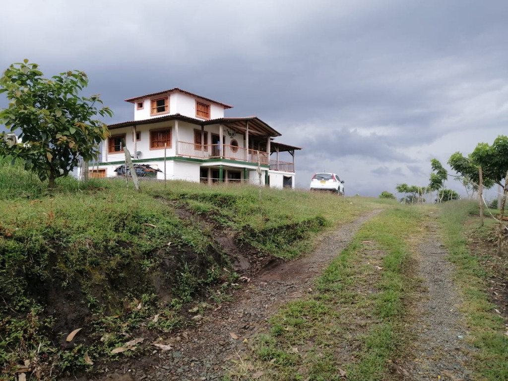 Finca en CIRCASIA, AUTOPISTA DEL CAFE (Ref: 12307)