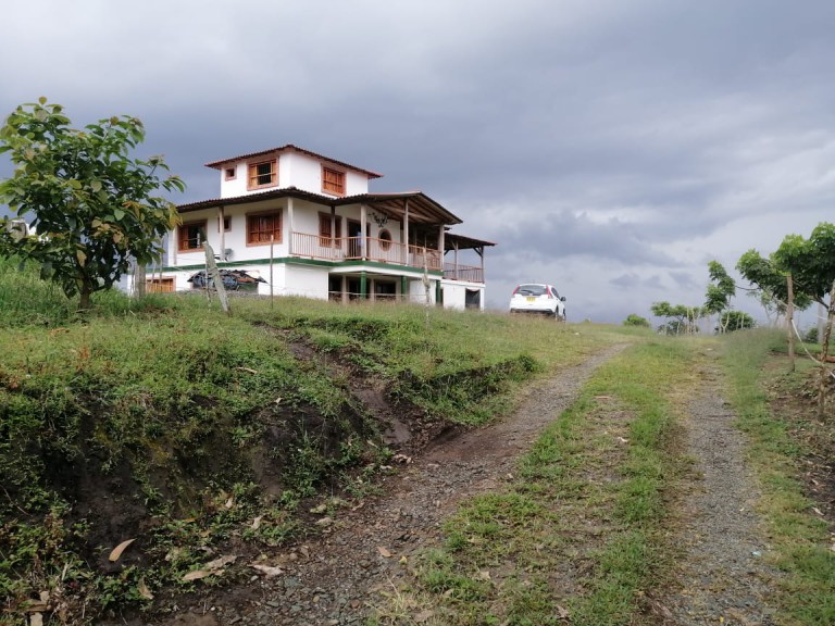 Finca en CIRCASIA, AUTOPISTA DEL CAFE (Ref: 12307)