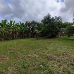 LOTE CAMPESTRE PARA VENTA EN ARMENIA - 12