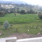 Finca en CIRCASIA, AUTOPISTA DEL CAFE (Ref: 12307) - 9